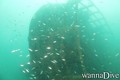 foto de buceo