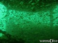foto de buceo