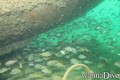 foto de buceo