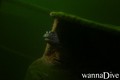 foto de buceo