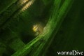 foto de buceo