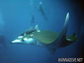 foto de buceo