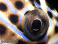 foto de buceo