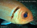 foto de buceo