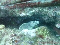 foto de buceo