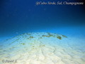 foto de buceo