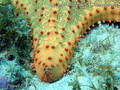 foto de buceo