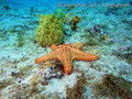 foto de buceo