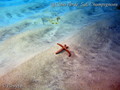 foto de buceo