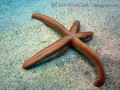 foto de buceo