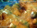 foto de buceo