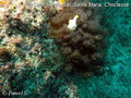foto de buceo
