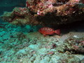 foto de buceo