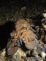 foto de buceo