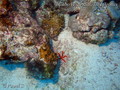 foto de buceo