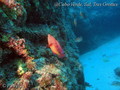 foto de buceo