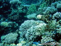foto de buceo