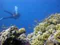 foto de buceo