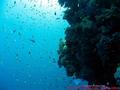 foto de buceo