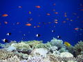 foto de buceo