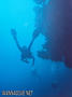 foto de buceo
