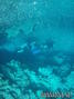 foto de buceo