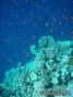 foto de buceo