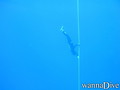 foto de buceo