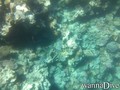 foto de buceo