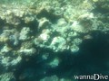 foto de buceo