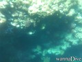 foto de buceo