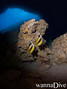 foto de buceo