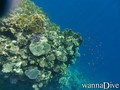 foto de buceo