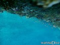 foto de buceo