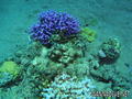 foto de buceo