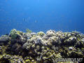 foto de buceo