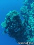 foto de buceo