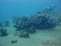 foto de buceo