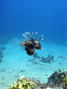 foto de buceo
