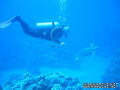 foto de buceo