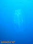 foto de buceo