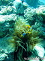 foto de buceo