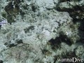 foto de buceo
