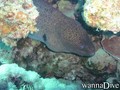 foto de buceo