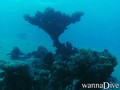 foto de buceo