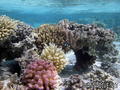 foto de buceo
