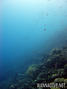 foto de buceo