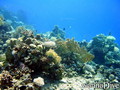 foto de buceo