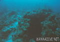 foto de buceo