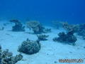 foto de buceo